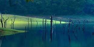 Tourist Place In South India,Cheapest Kerala Tour Packages