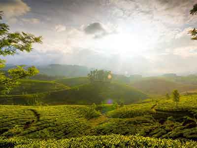 Best Tour Operators In Kerala,Cheapest Kerala Tour Packages